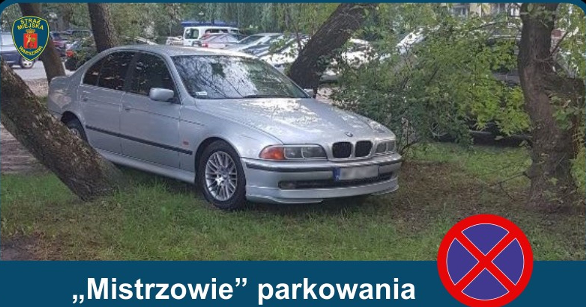 „Mistrzowie parkowania” w Warszawie