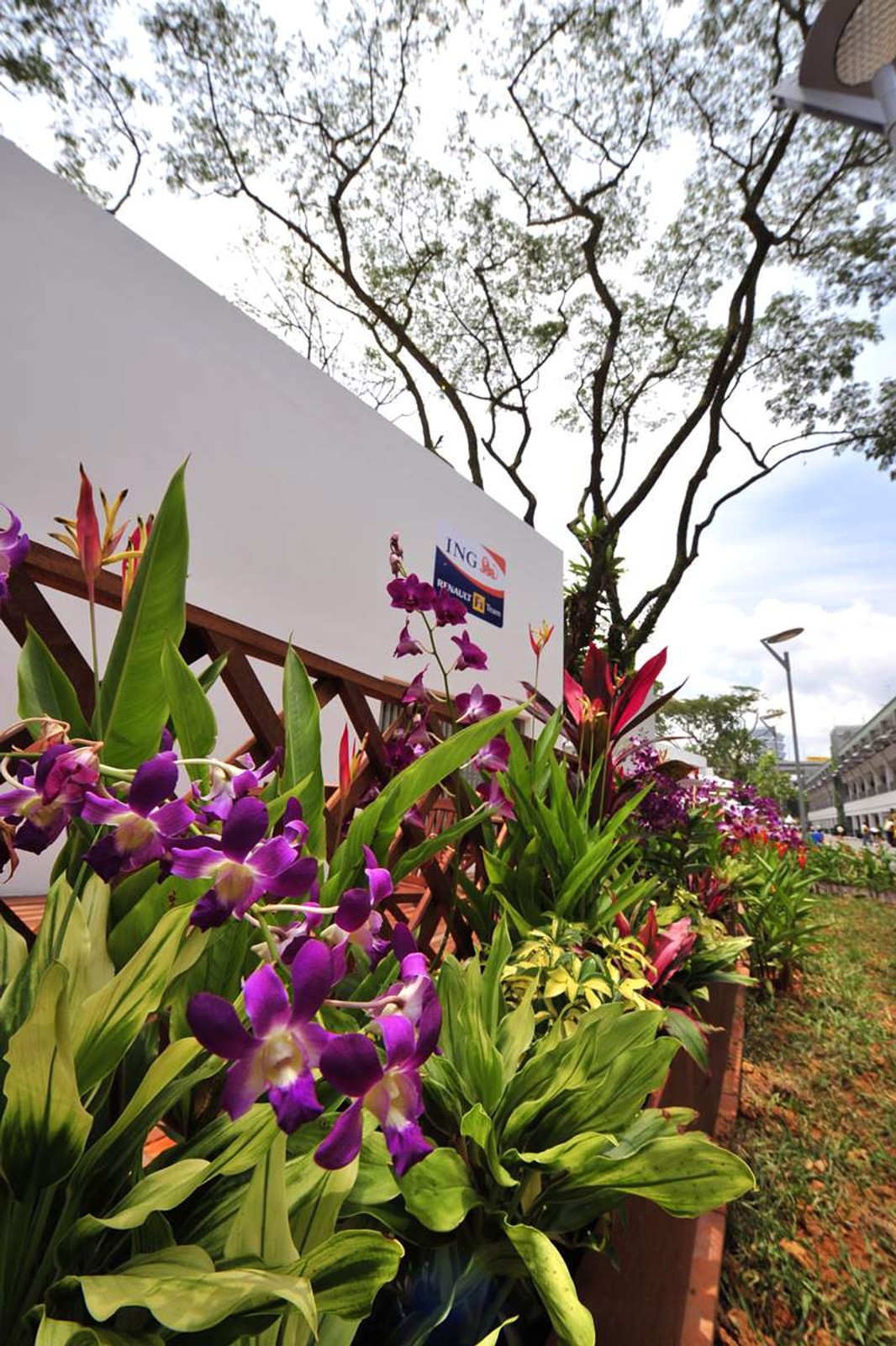 Grand Prix Singapuru 2008: fotogaleria Jiří Křenek