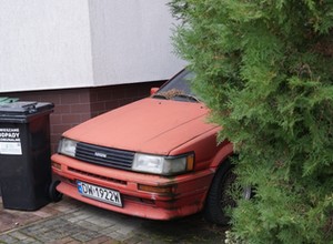 Ratujemy Hachi - pierwszy pomysł