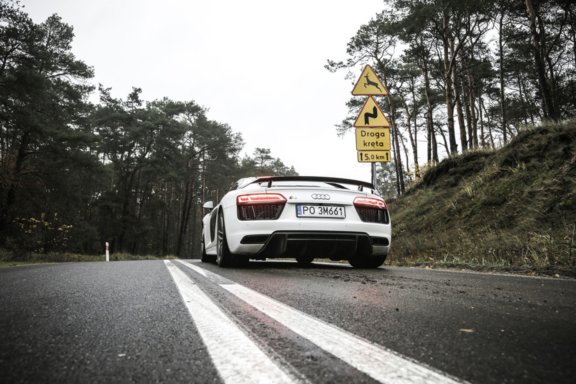 Audi R8 V10 Plus - potwór na co dzień