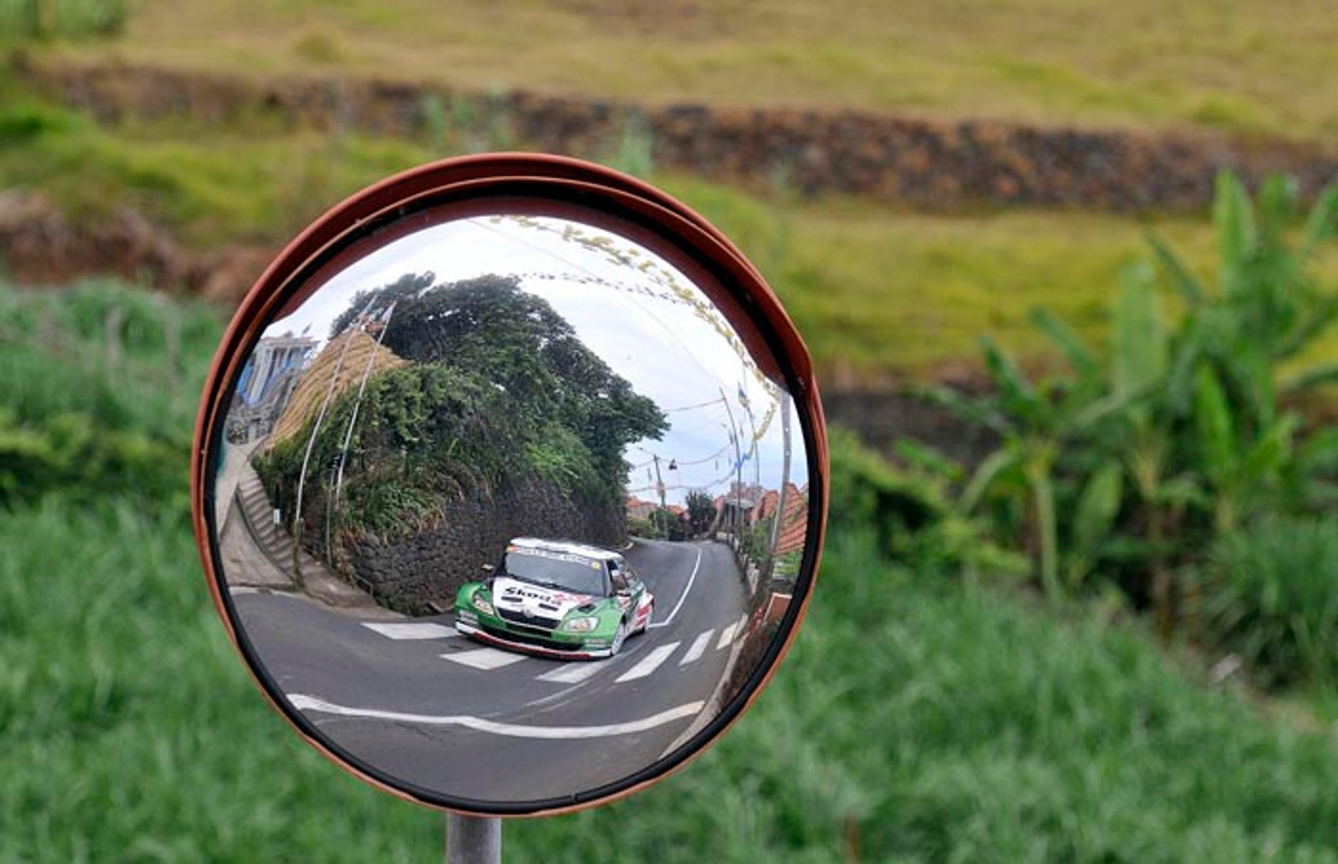 IRC Rally Madera 2010: Škoda zdemolowała konkurentów (galeria Rallyworld©Willy Weyens)