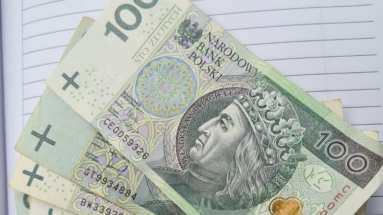 gotówka, złotówki, pieniądze