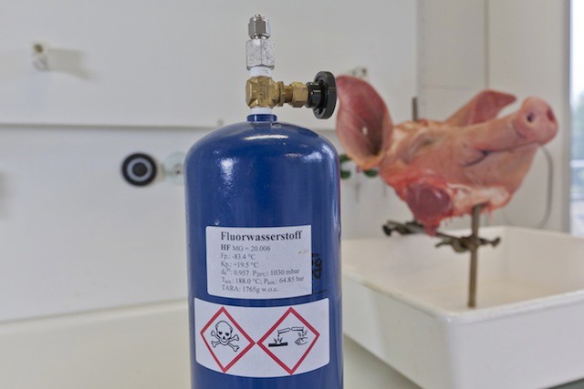 Tydzień w motoryzacji