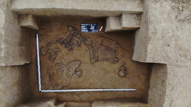 Znaleziska archeologiczne
