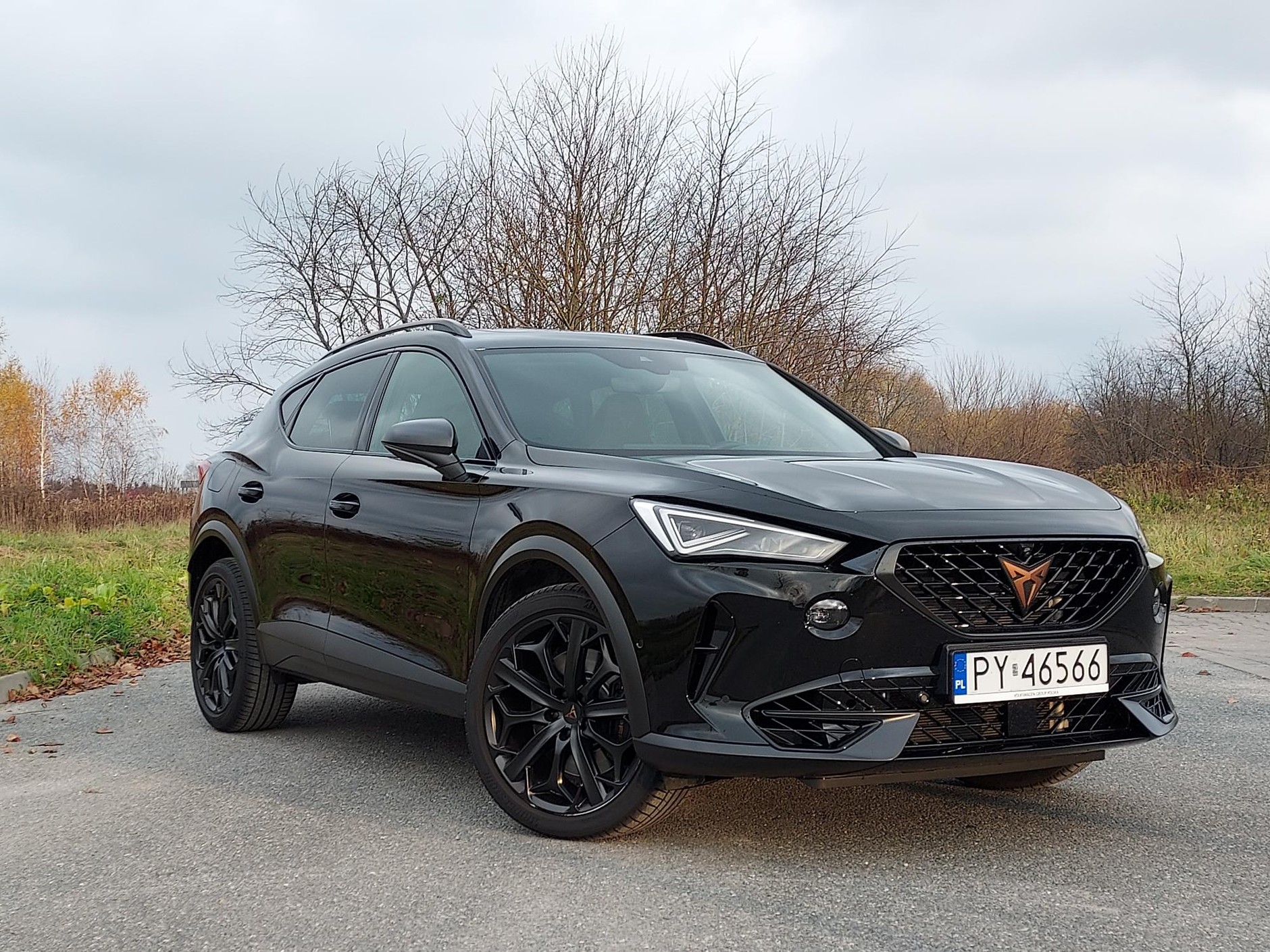 10. miejsce: Cupra Formentor - 473 egz.