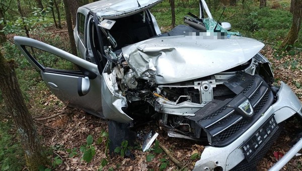 Tak wygląda auto osobowe po zderzeniu z łosiem