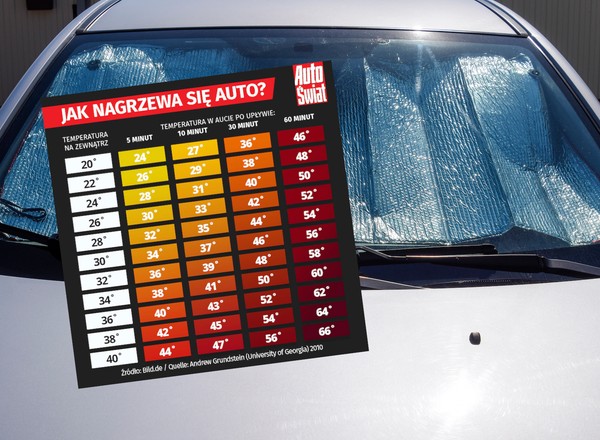 Ten błąd może kosztować życie. Co się dzieje w nagrzanym aucie?