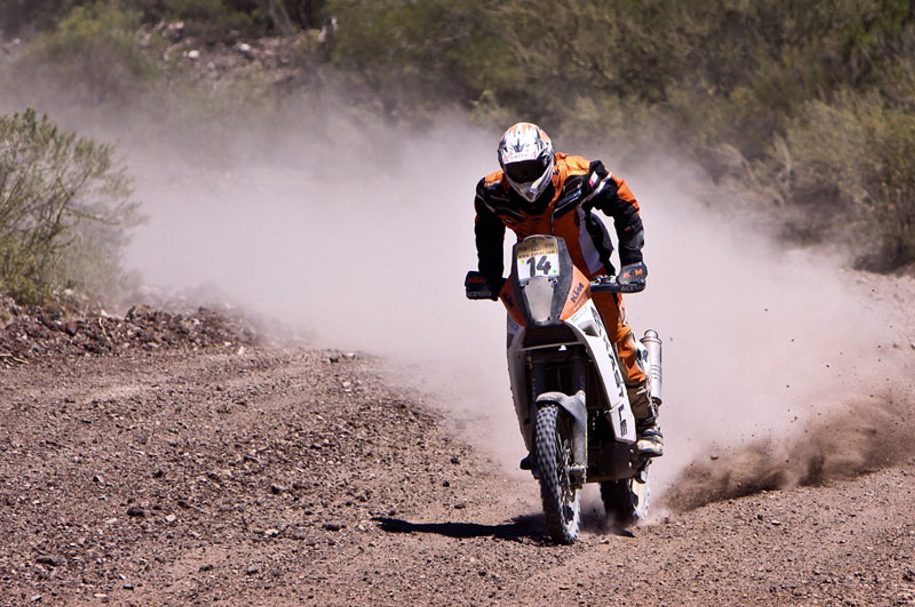 Rajd Dakar 2009: Czachor i Przygoński na mecie. Kłopoty organizatorów (6. etap, wyniki)