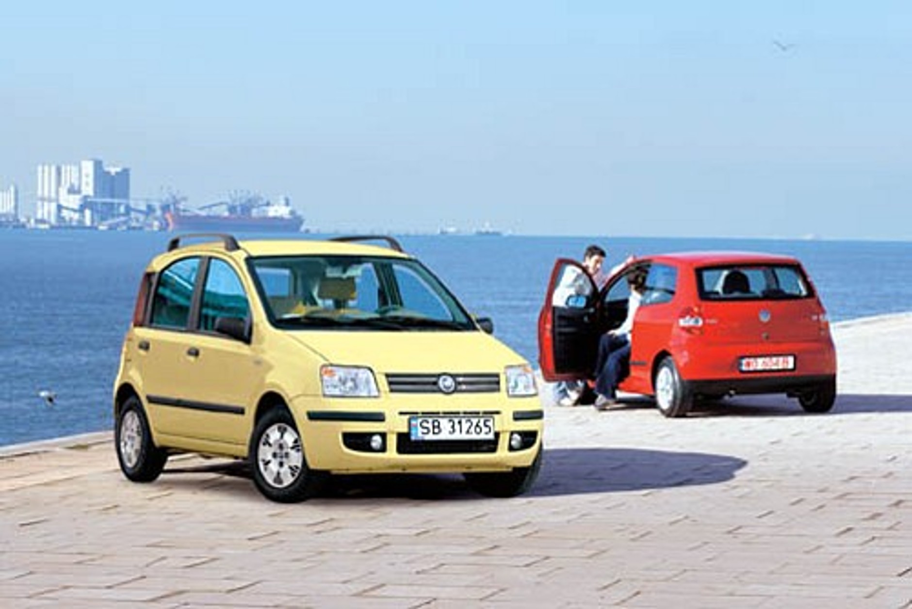 Lis zaatakuje Pandę