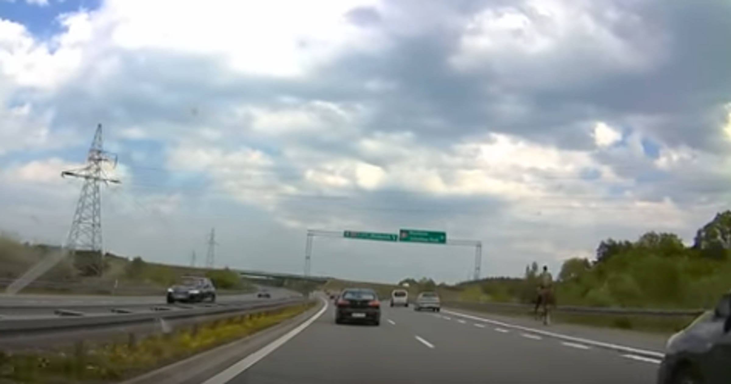Koń na drodze ekspresowej S8