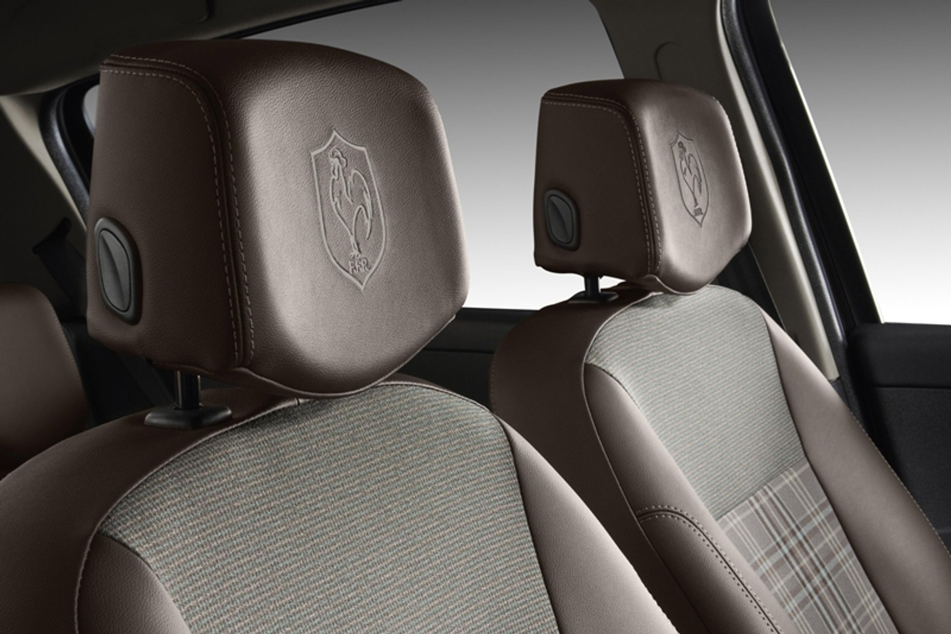 Renault Megane i Clio w hołdzie rugbistom