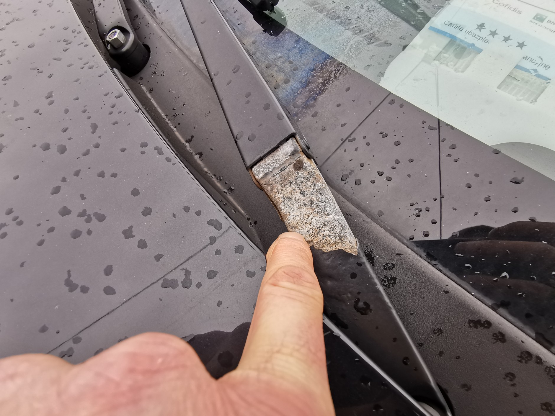 Suzuki SX4 z ogłoszenia
