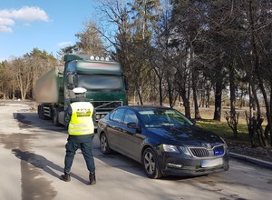 Kontrola ciężarówki zakończona niecodziennym znaleziskiem