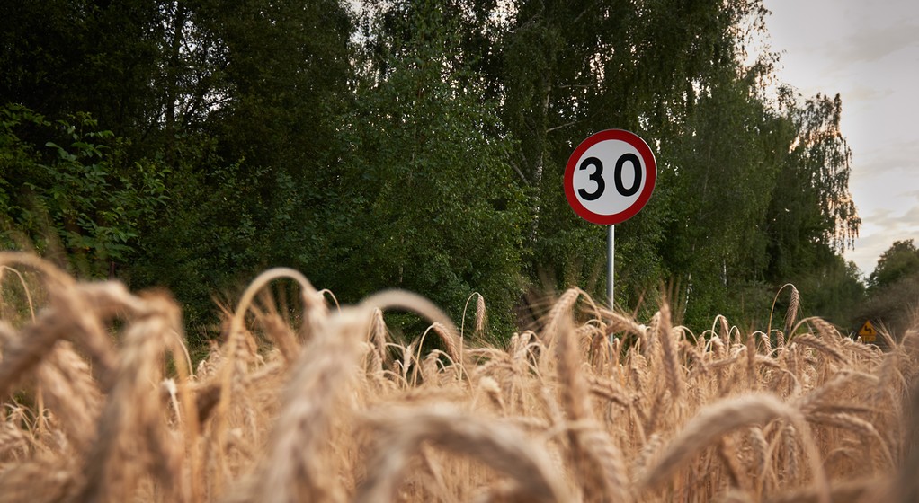 Ograniczenie prędkości do 30 km/h