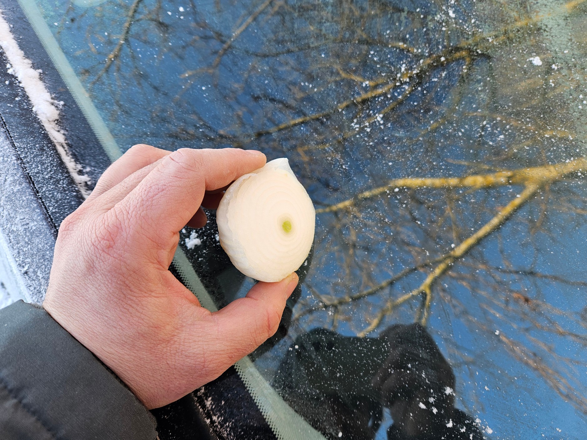 Smarowanie szyb cebulą, to metoda stosowana np. w Ukrainie. Dzięki temu lód ma nie przywierać mocno do szkła