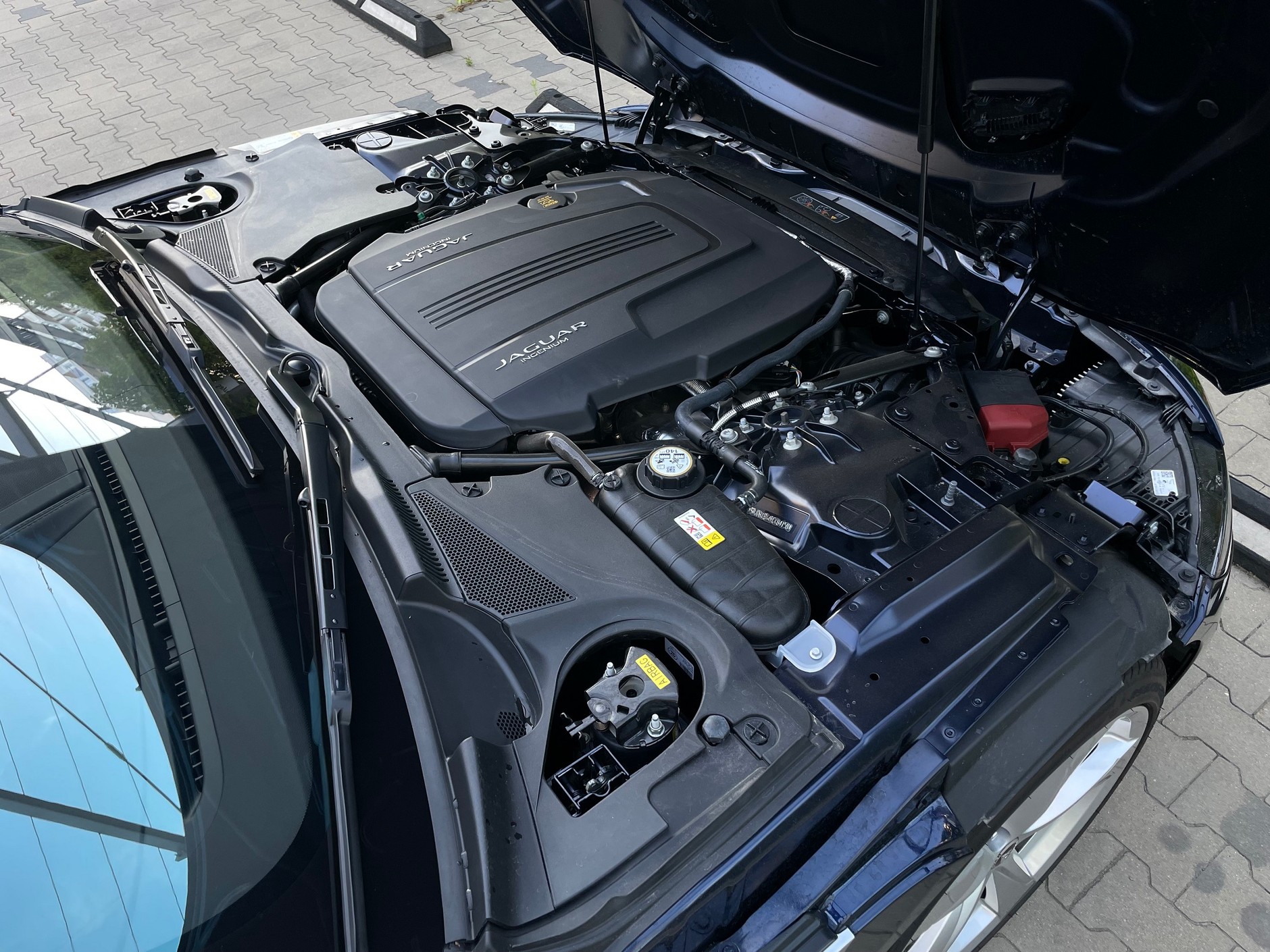 Wielka maska F-Type'a skrywa malutkie, ale dziarskie serce