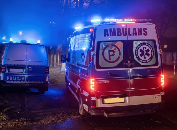 Dramatyczne zderzenie z łosiem. Kierowca nie żyje, komendant jest w szpitalu
