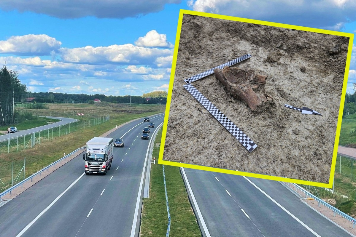 Na budowie drogi S17 pojawił się... mamut. GDDKiA mówi, co z kolejnymi 50 km