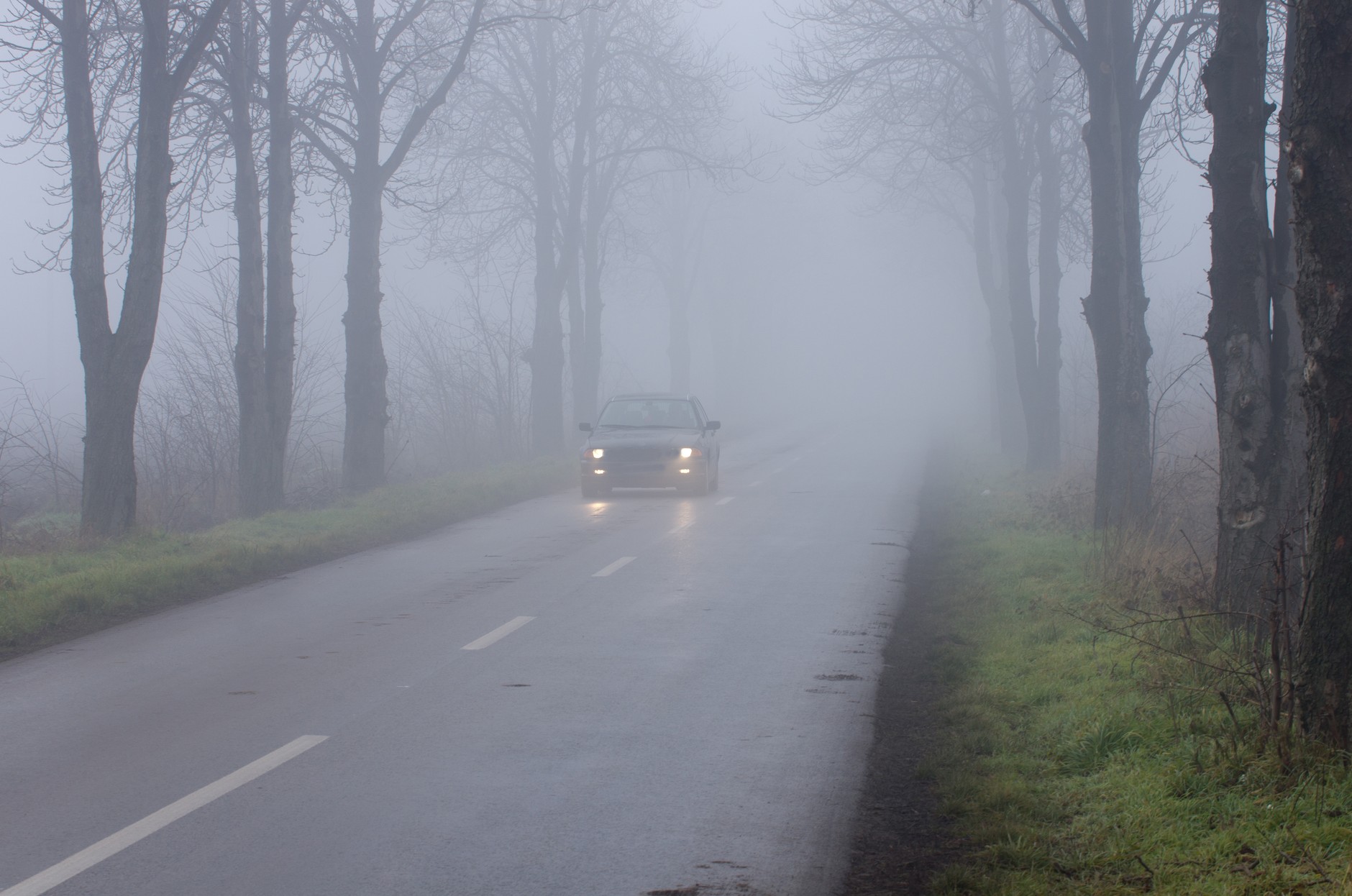 Mgła. W takich warunkach nie zawsze można ufać automatyce świateł