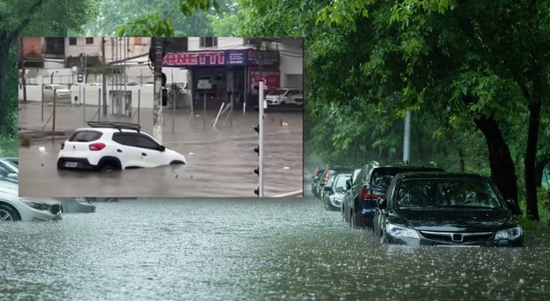 Najtańsze samochody są niezniszczalne? Małe Renault nie dało się nawet powodzi [WIDEO]