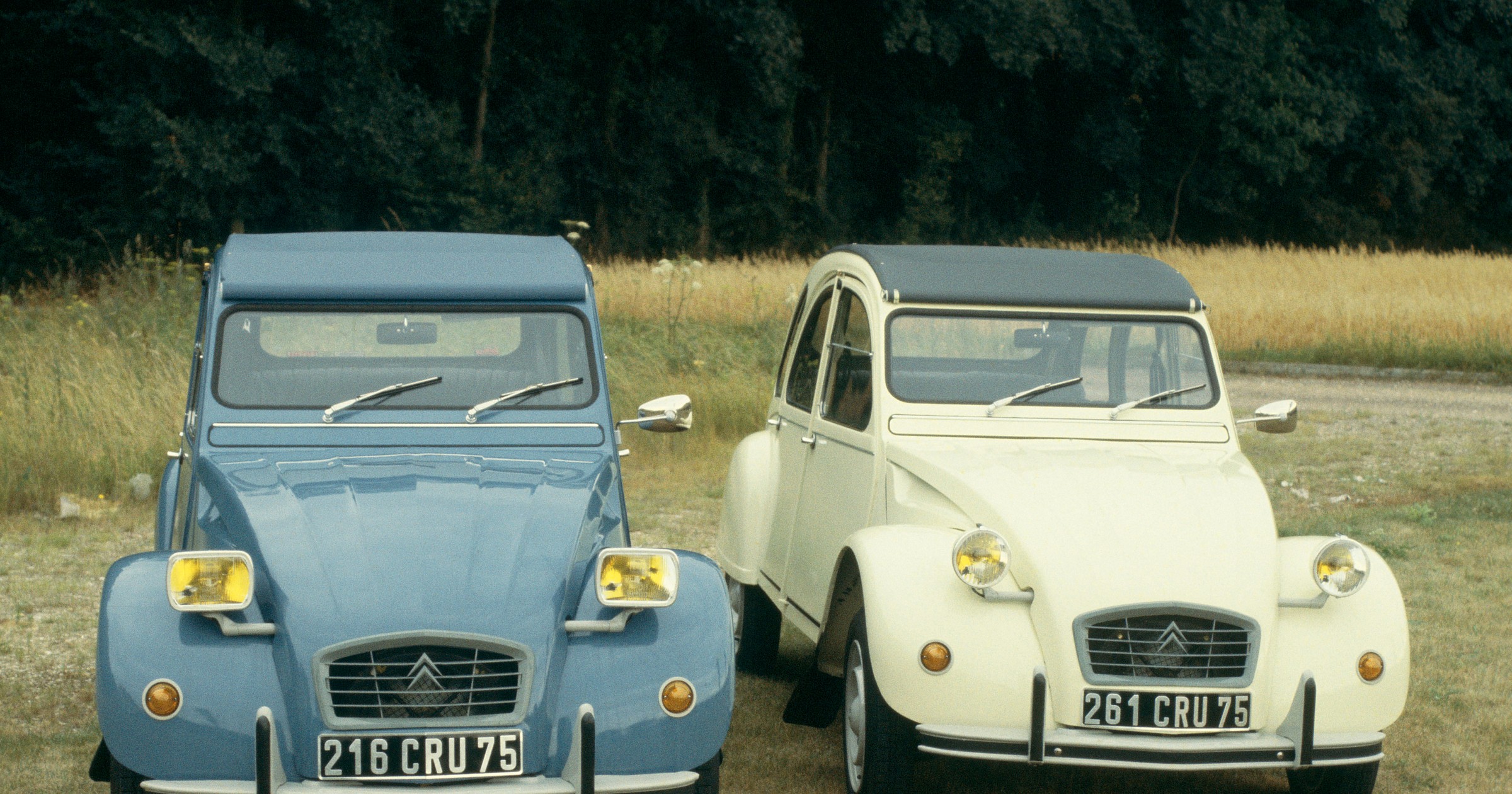 Światowy zlot Citroënów 2 CV