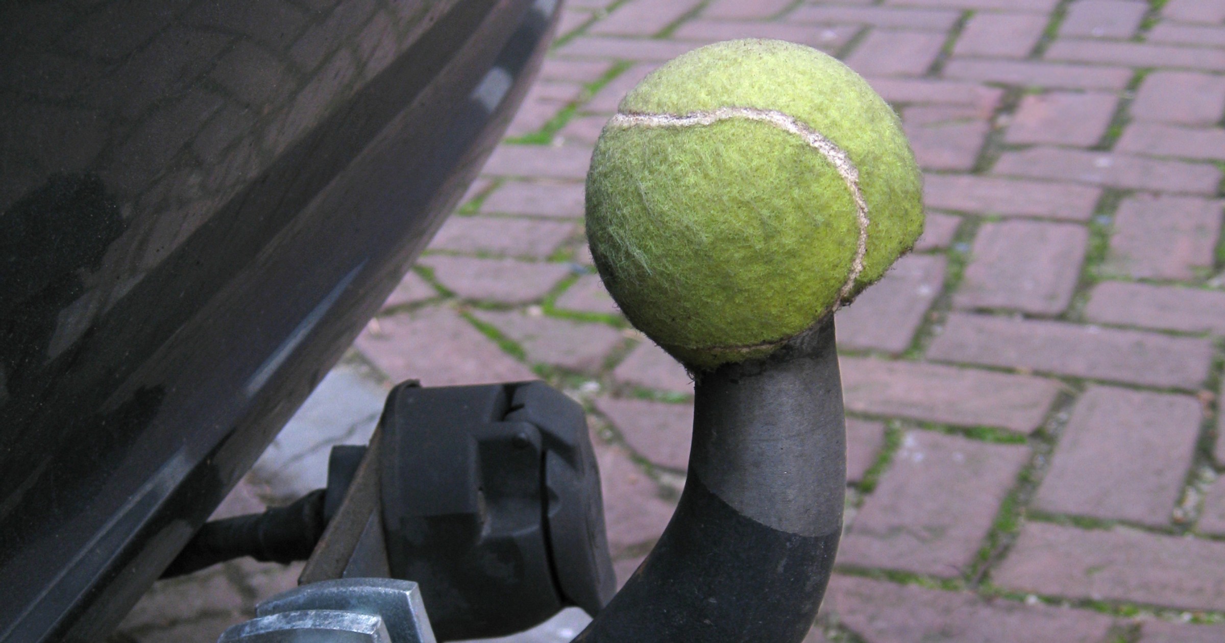 Prosty sposób na ochronę. Wystarczy piłka do tenisa