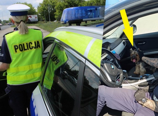 Poszli na basen i zostawili yorka w rozgrzanym BMW. Pieska uratowali policjanci