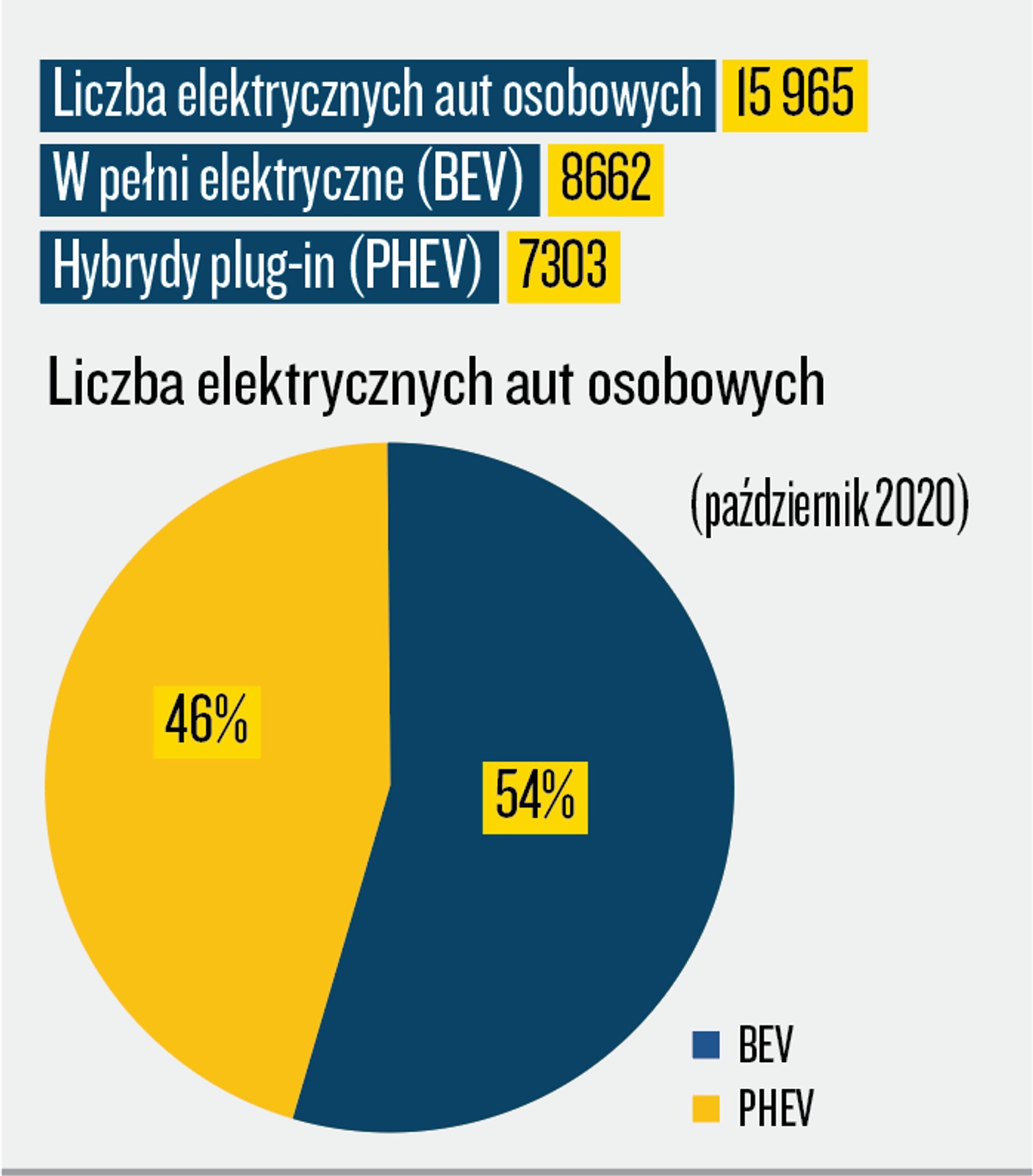 Infografika