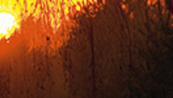 Samochodem i... pieszo!