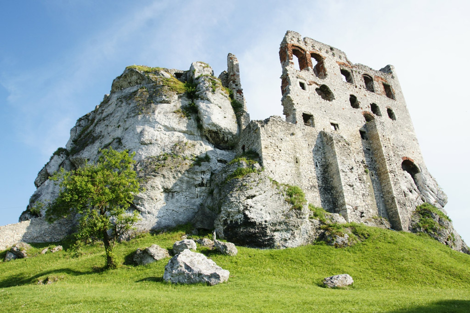 Rodzinne podróże z Fordem: Grand C-Max zawiózł nas do Mirowa