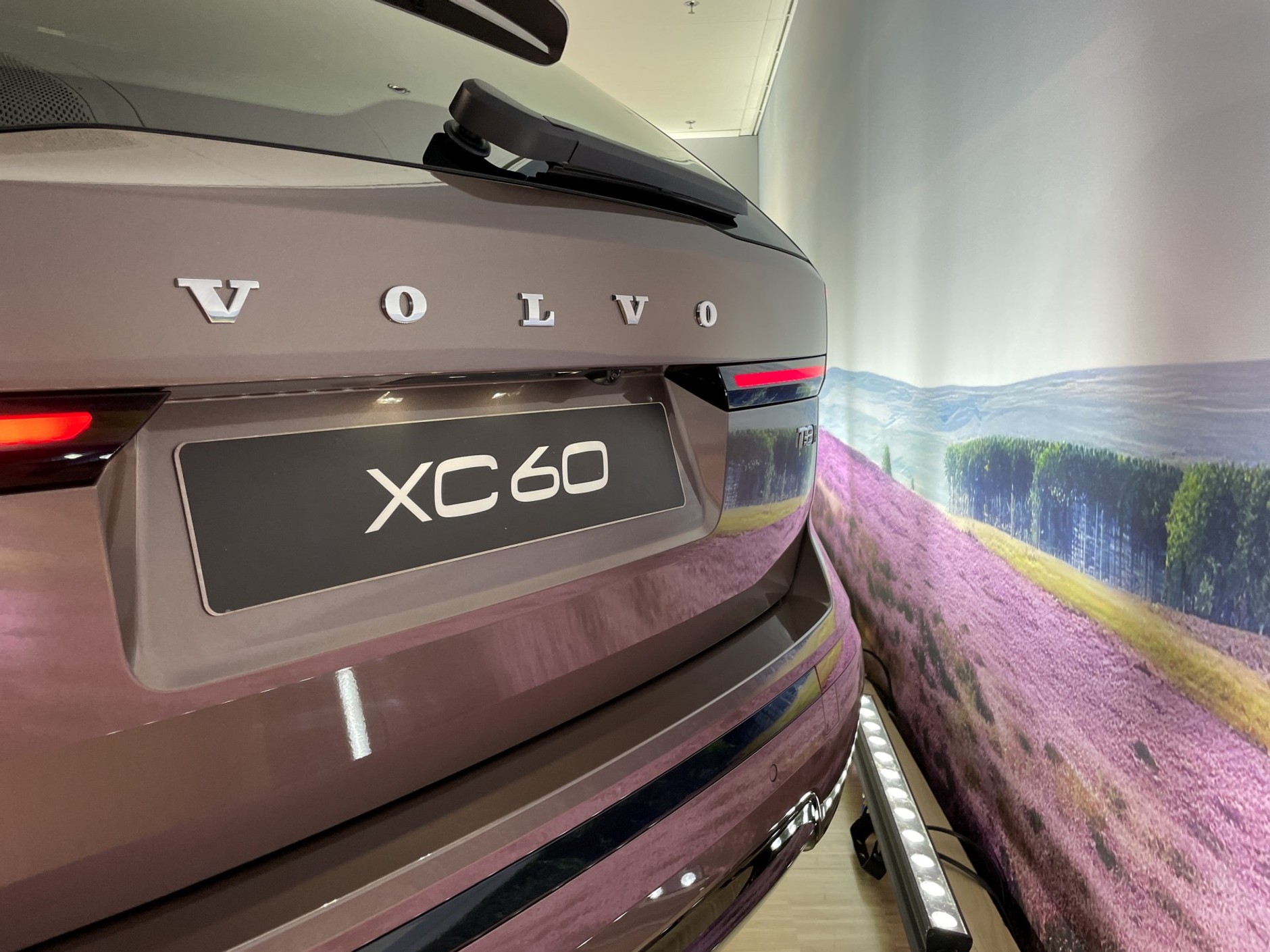Volvo XC60 wygrało uwagę nowym wrzosowym lakierem