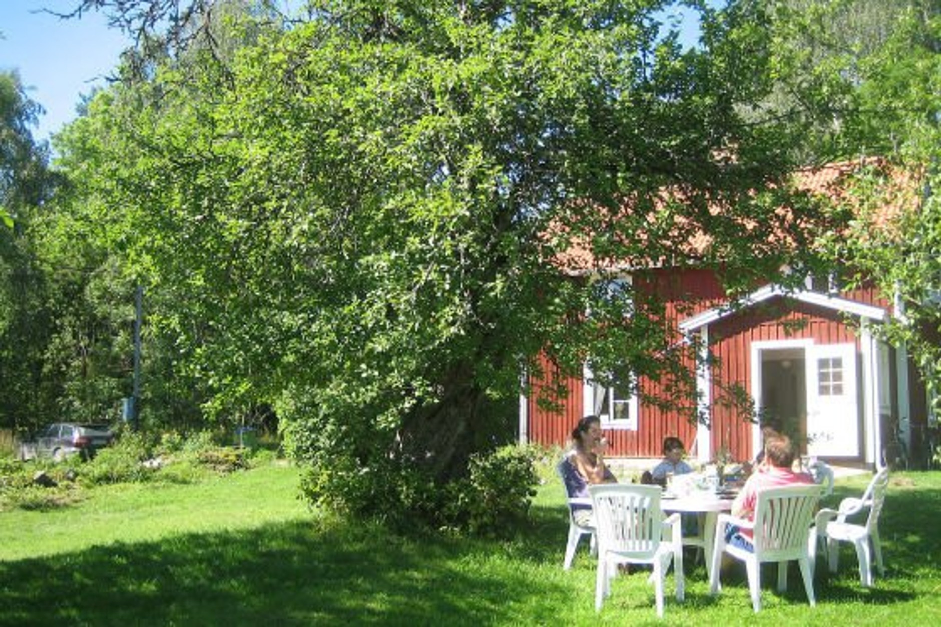 Najdroższe mandaty w Europie