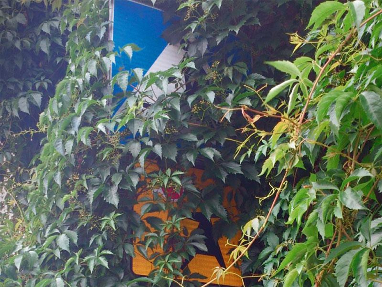 Raport NIK - stan oznakowania dróg