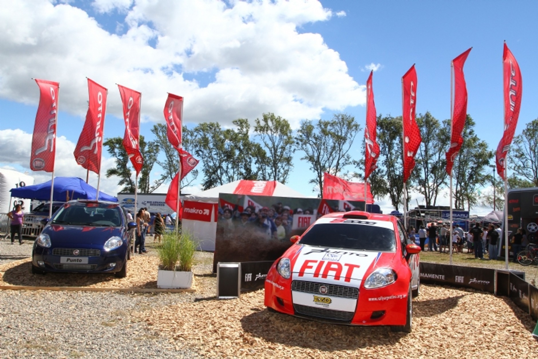 Rajd Argentyny 2010: Hänninen i trzy Fabie S2000 na czele (galeria)