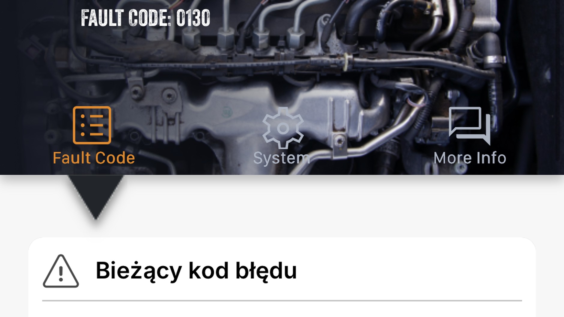 Skaner OBD Carly