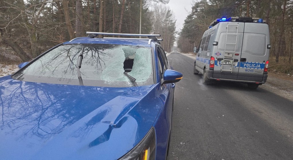 Bryła lodu z łatwością przebija szybę samochodu