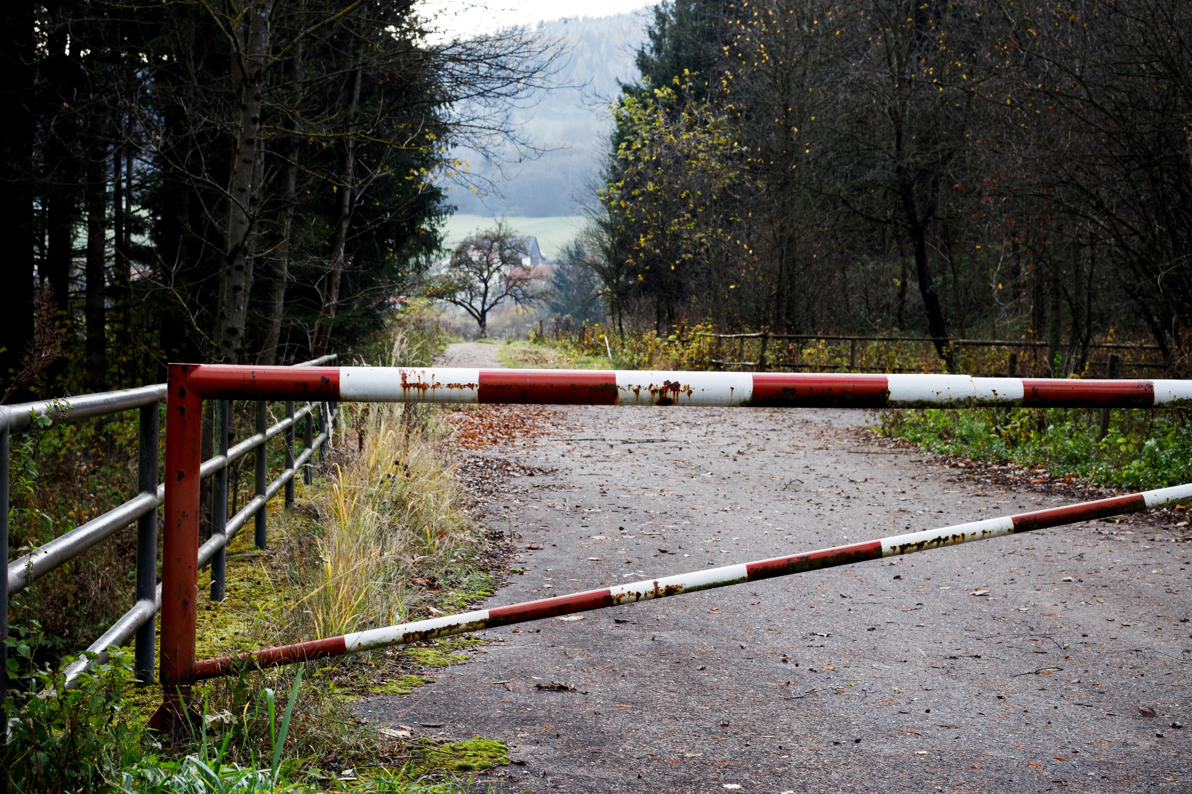 Parkowanie przy szlabanie do lasu. Jaki mandat za to grozi?