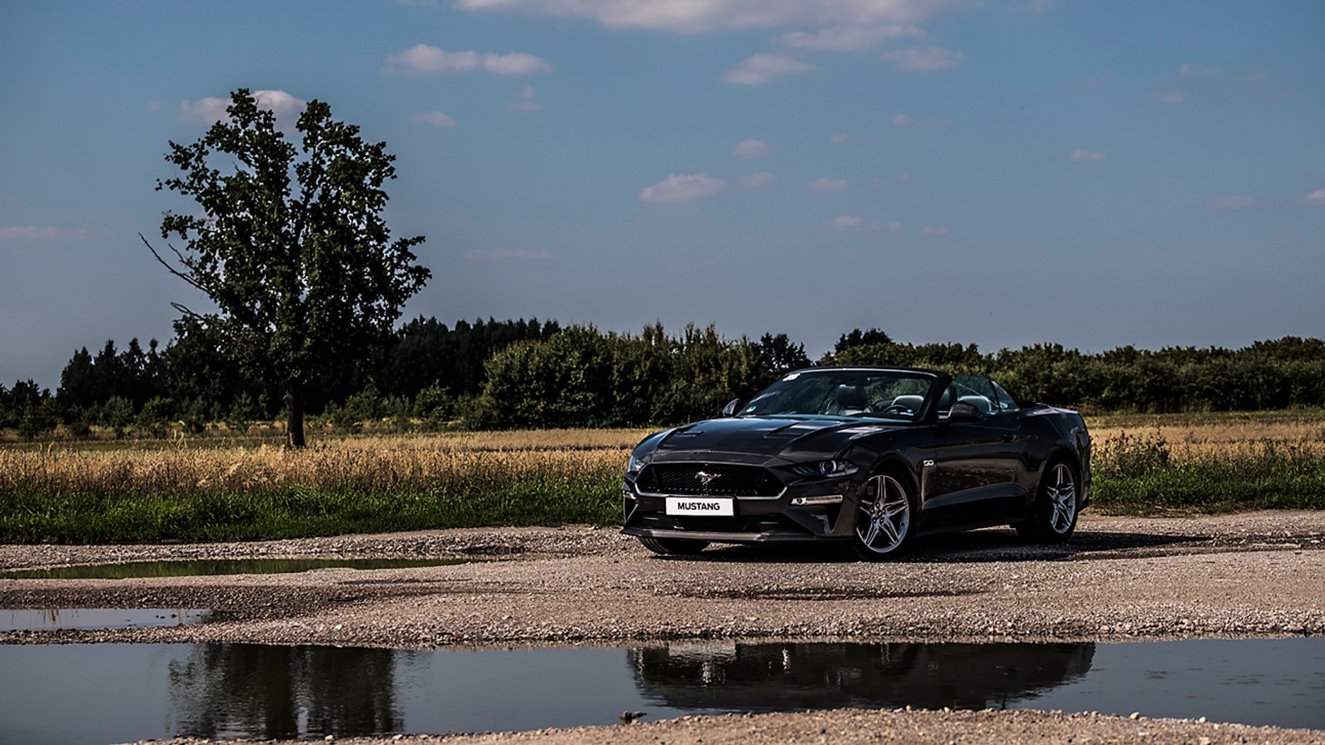 Warsztaty fotograficzne Fujifilm i Ford Polska