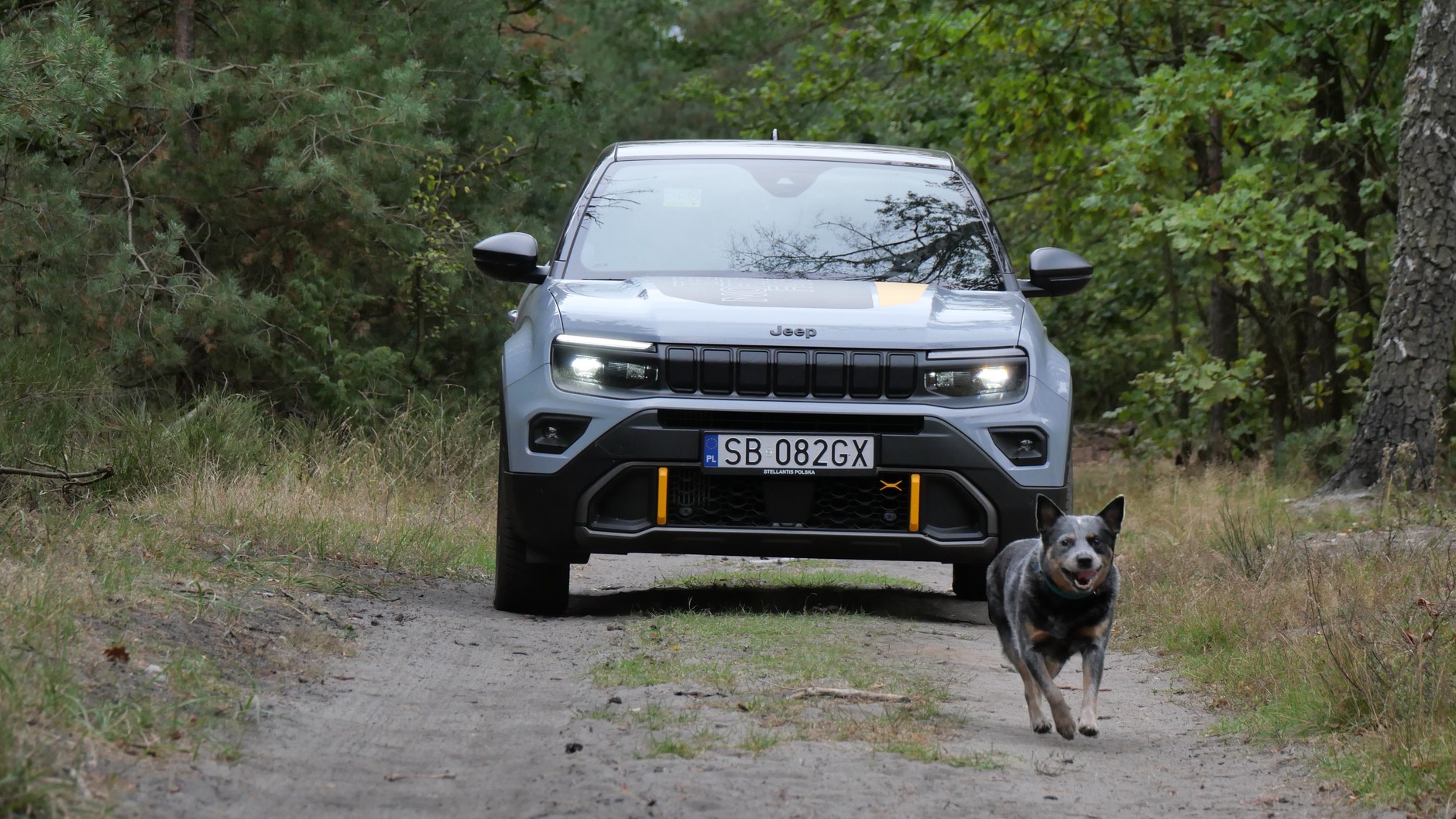 Jeep Avenger The North Face