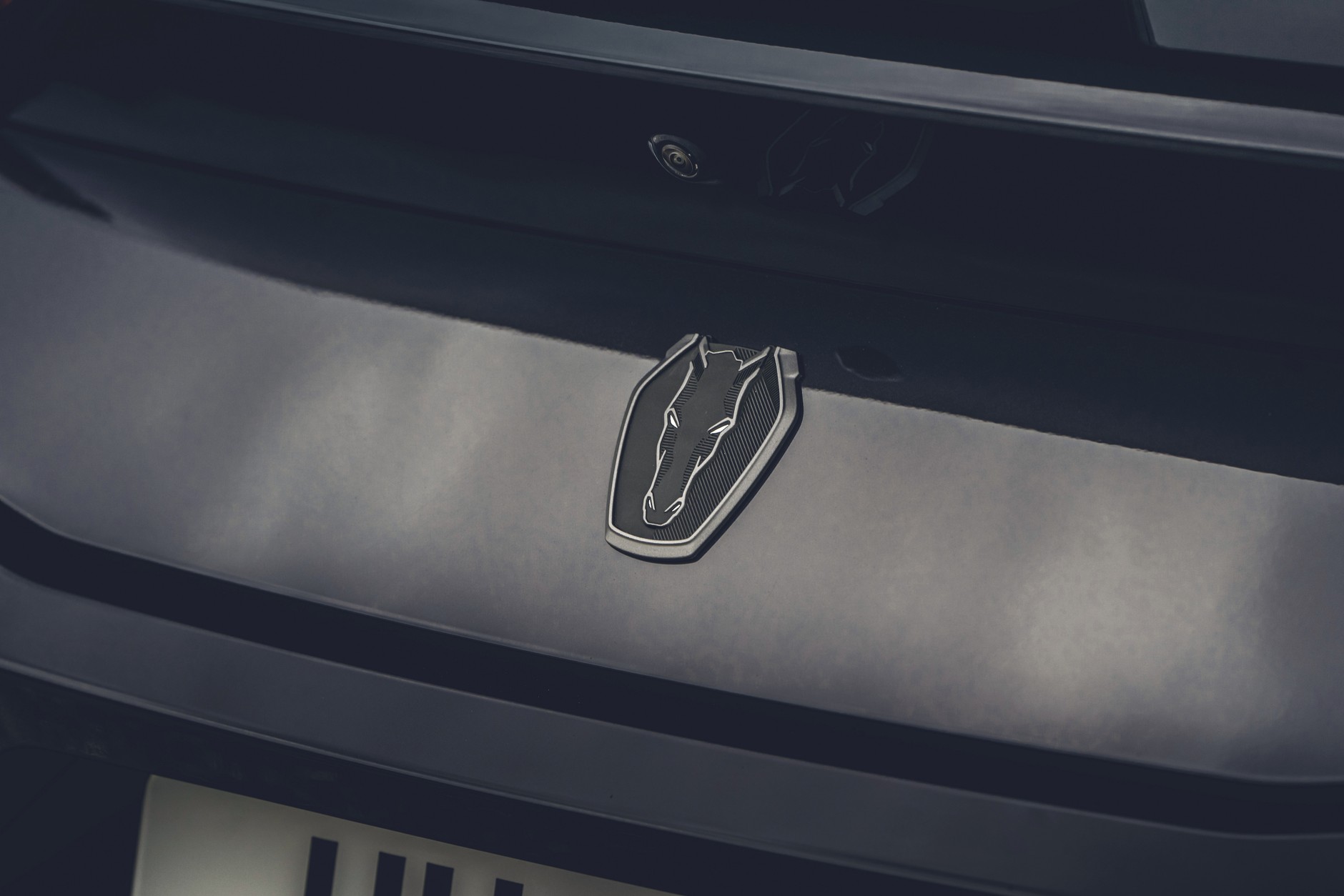 Ford Mustang Dark Horse