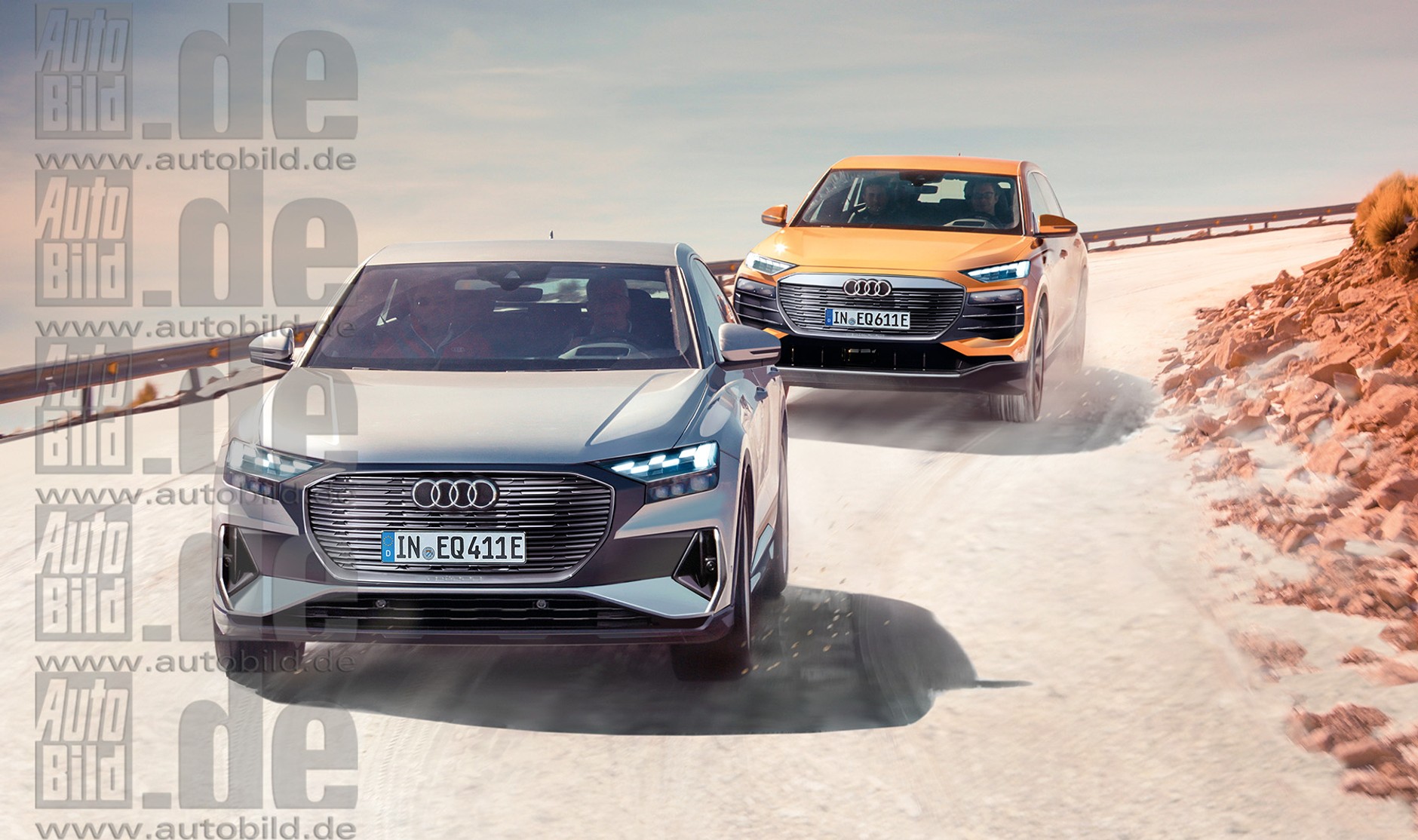 Audi Q4 Sportback i Audi Q6 e-tron