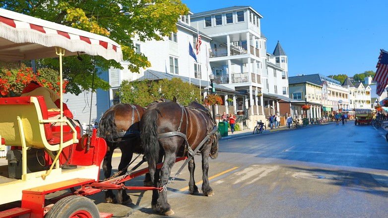 Wyspa Mackinac (USA)