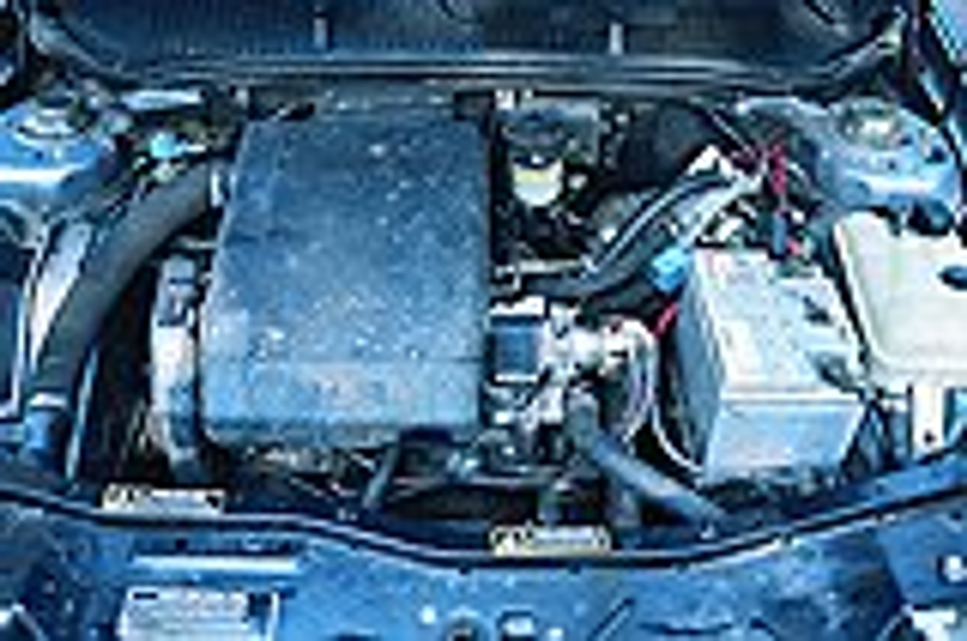 Naprawdę duży Fiat