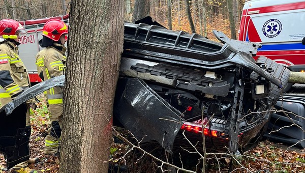 Audi o wartości ponad 600 tys. zł skończyło w lesie. Jego kierowca i tak może mówić o dużym szczęściu