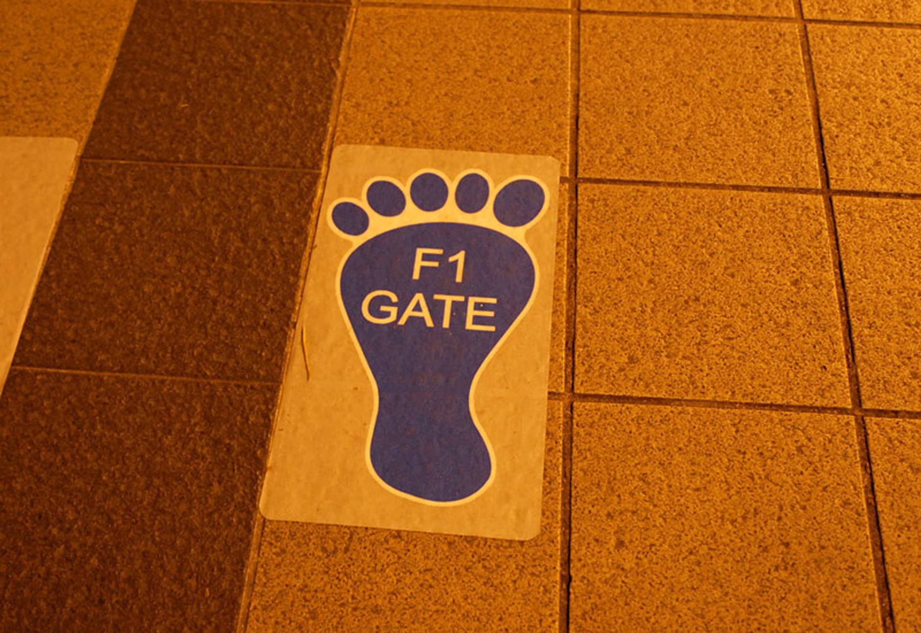 Grand Prix Singapuru 2008: fotogaleria Jiří Křenek