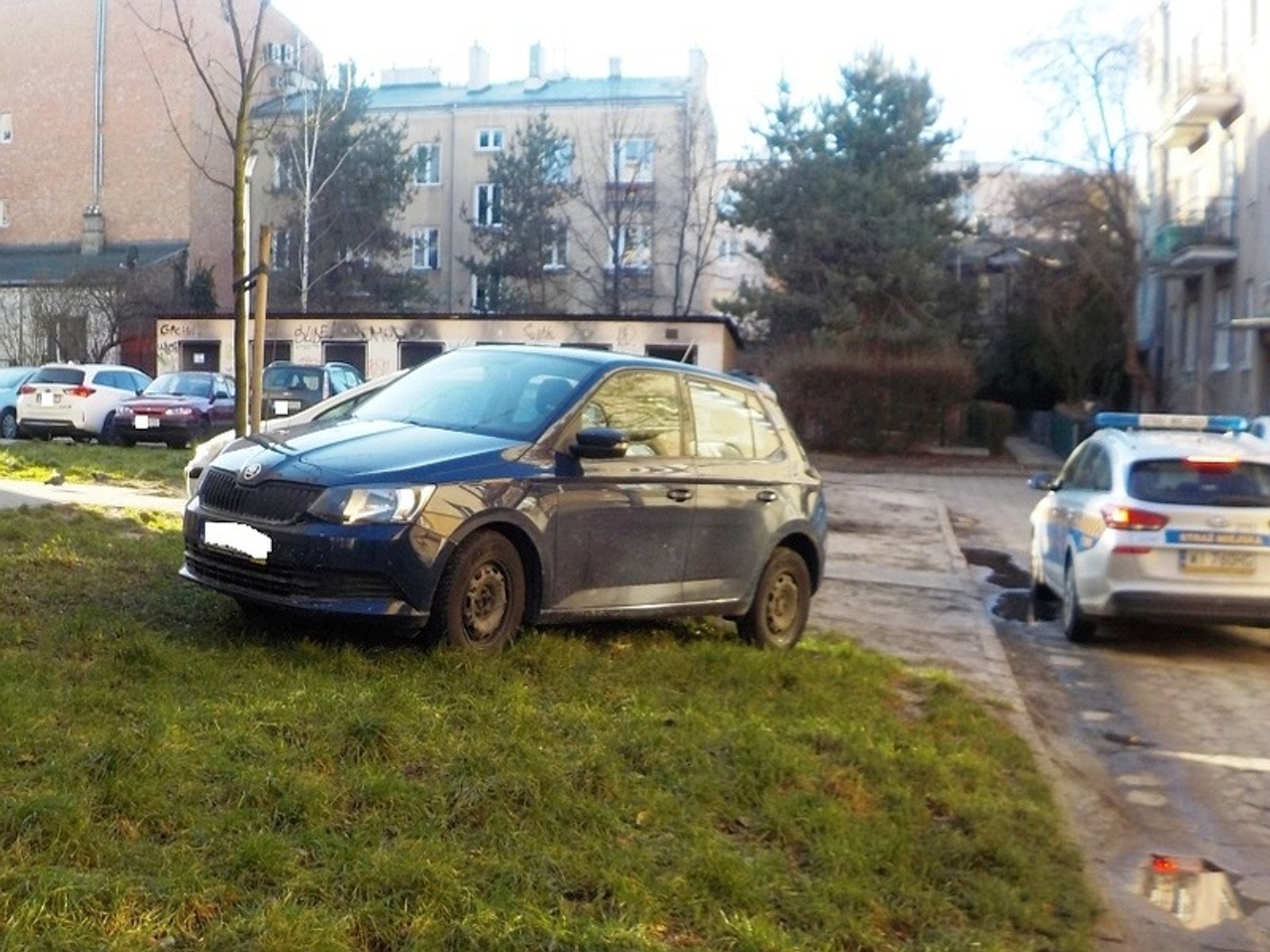 Przez większość roku parkowanie na trawniku to po prostu niszczenie zieleni. Latem może być przyczyną pożaru