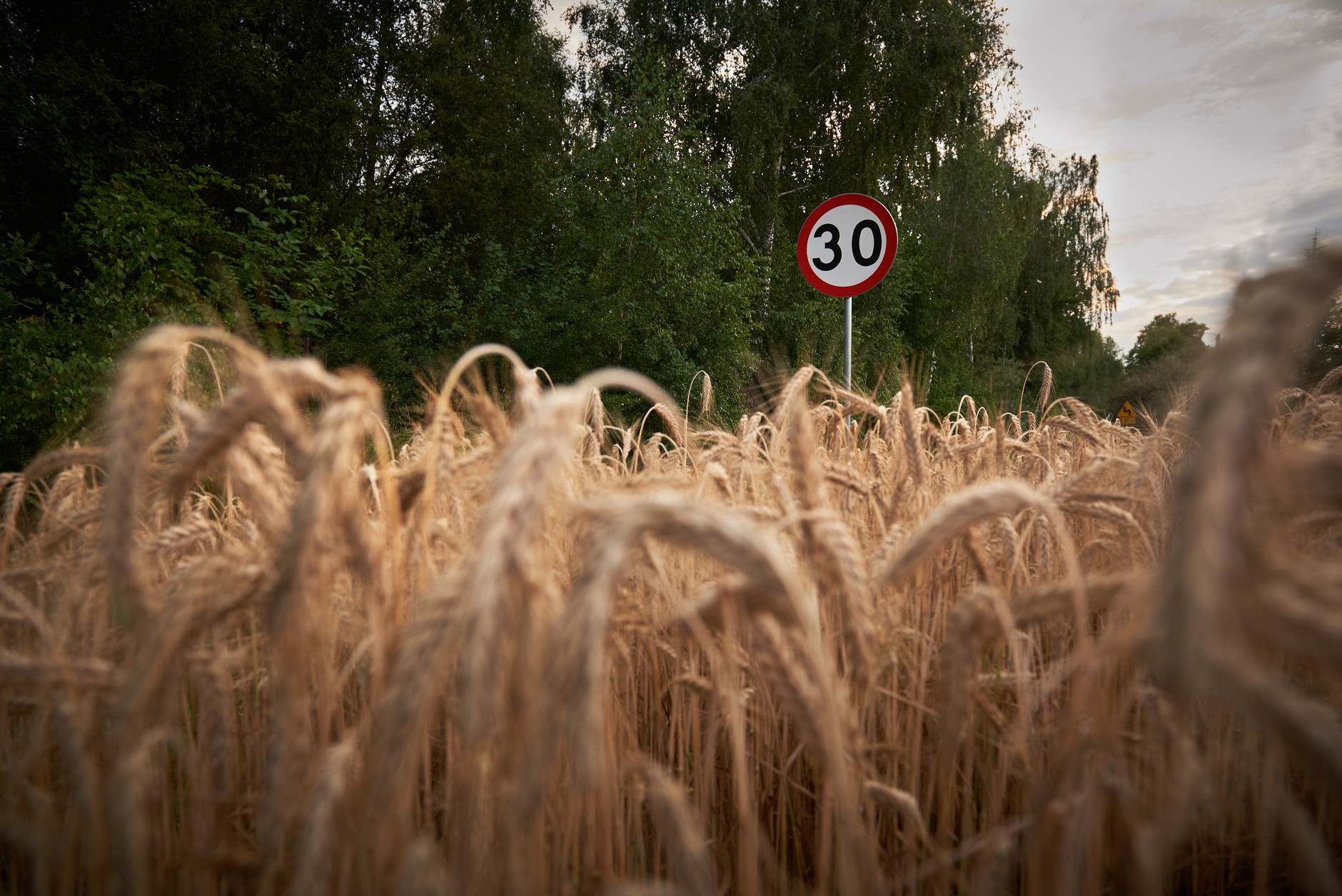 Znak wskazujący ograniczenie prędkości do 30 km na godz.