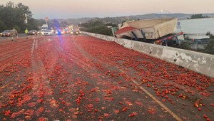 Pomidorowa autostrada. Tysiące pomidorów zablokowały drogę