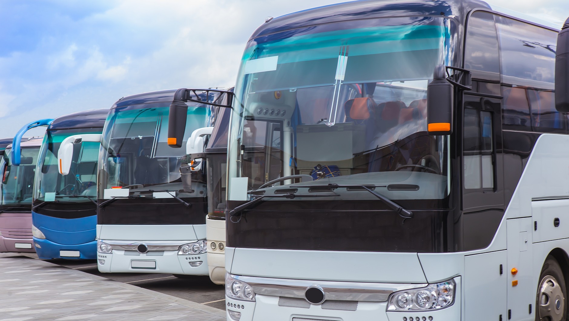 Kierowca autobusu turystycznego