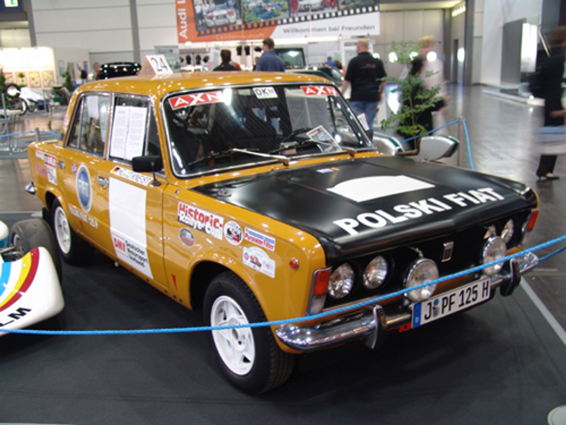 Leopard wśród gwiazd AMI